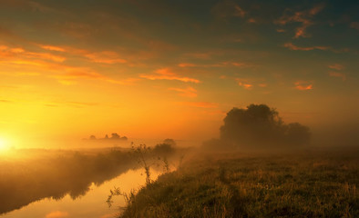 Fantastic foggy river with fresh grass in the sunlight. majestic misty sunrise with colorful clouds on the sky, Dramatic picturesque scene. Warm sundown over meadow. Beauty in the world.