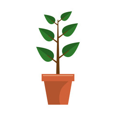 plant garden pot icon vector illustration design