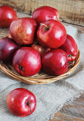 Fresh harvest of apples. Nature fruit concept.