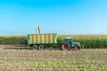 Maisernte für Biogaserzeugung © penofoto.de