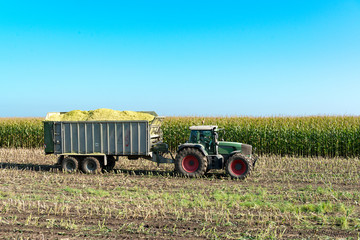 Traktor bei der Maisernte © penofoto.de
