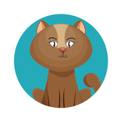 cute cat mascot icon vector illustration design