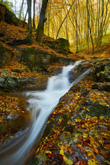 Autumn flowing stream