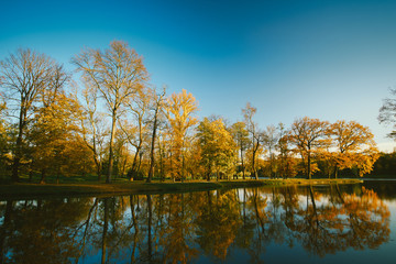 Autumn lake in park