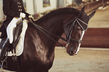 woman jockey with his horse
