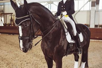 woman jockey with his horse