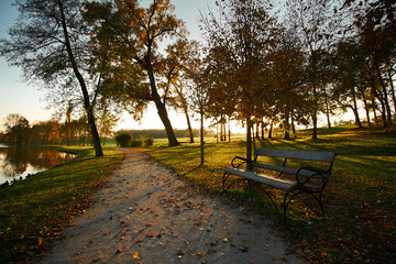 Path autumn park sunset