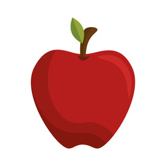 fresh fruit isolated icon vector illustration design