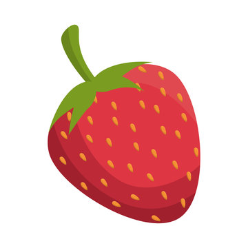fresh fruit isolated icon vector illustration design