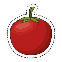 fresh fruit cut line isolated icon vector illustration design