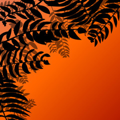 Tropical leaves foliage vector