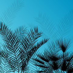 Palm trees detailed graphic silhouettes abstract nature backgrou