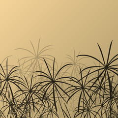 Fototapeta na wymiar Paper reed detailed silhouettes in nature background