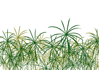 Naklejka premium Paper reed detailed silhouettes in nature background