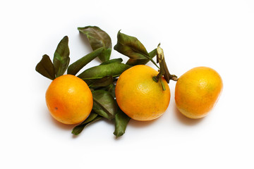 three tangerines with leaves on a white background