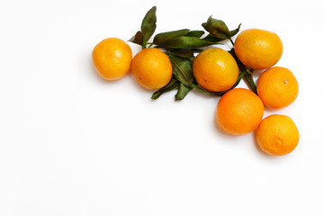 tangerines with leaves on a white background background with copy space