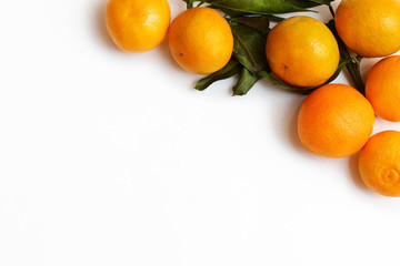 tangerines with leaves on a white background background with copy space