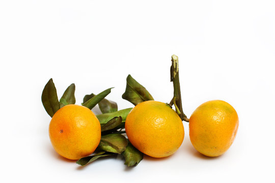 three tangerines with leaves on a white background