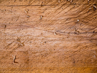 wood texture background