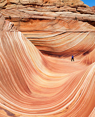 Obraz premium The Wave - Coyote Buttes South