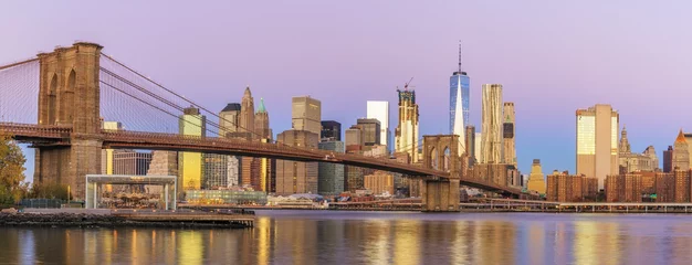 Foto op Plexiglas Uitzicht op de skyline van Manhattan vanaf Brooklyn Bridge Park in de ochtend © elena_suvorova