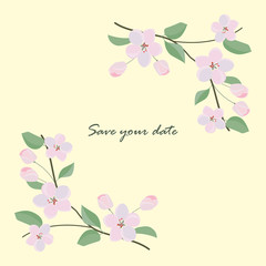Frame from wild flowers. Unique decoration for greeting card with sakura branch, wedding invitation, save the date. Isolated floral design. Spring plant with space for your text. eps10 vector