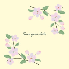 Frame from wild flowers. Unique decoration for greeting card with sakura branch, wedding invitation, save the date. Isolated floral design. Spring plant with space for your text. eps10 vector