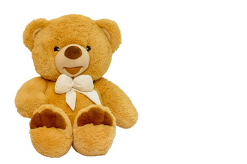 Teddy bear isolated on a white background.