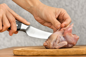 hands cutting quail before cooking