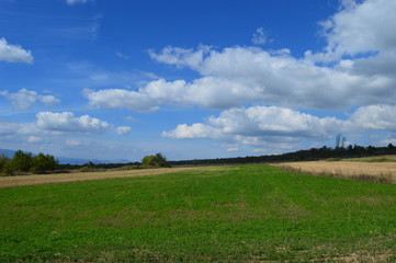 Obraz premium Open Field