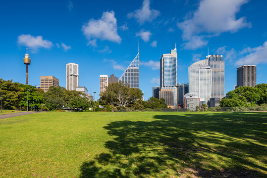 Green lawn with modern building as background in Sydney, Austral