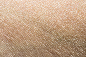Human skin
