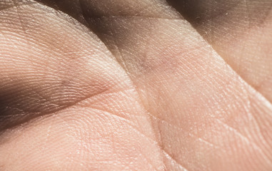 Fototapeta premium Human skin