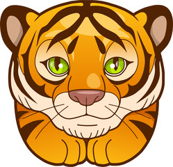 tiger
