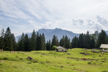 Barn on Meadow in the European Alps, Germany