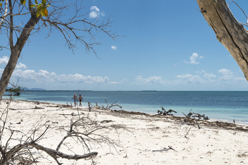 Kuba, Cayo Levisa ; Die  