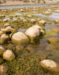 stones in the river in nature