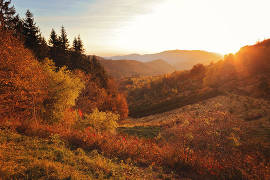 Massif Des Vosges En Alsace, France, Couleurs Automne