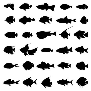 Fish vector silhouettes black on white