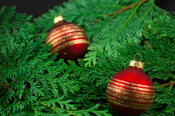 Bunte Christbaumkugeln auf saftig grünen Zweigen