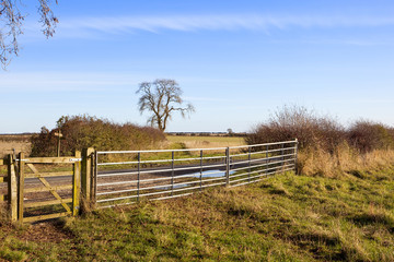 Fototapeta premium metal gate with bridleway