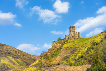 Fototapeta na wymiar Burg Metternich in Beilstein an der Mosel