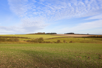 Obraz premium arable landscape in autumn