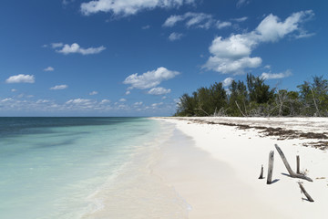 Kuba, Cayo Levisa ; Die  