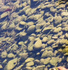 stones under water as a background