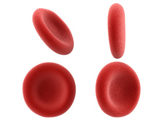 red blood cells isolated on white
