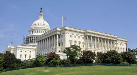 Obraz premium United States Capitol / The US Capitol Building in Washington, DC.
