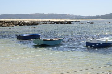 Fototapeta premium Blue Fishing boats in Galicia, Spain