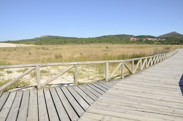Wooden pathway at the Dunes in Galicia, Spain