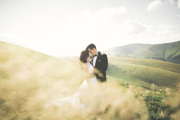 Kissing wedding couple staying over beautiful landscape
